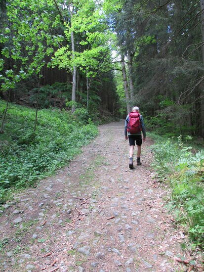 Auf einem steinigen Weg geht es leicht bergan weiter.