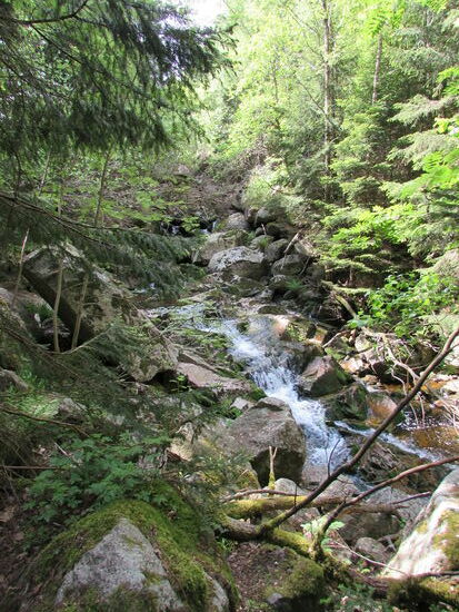 Über Felsen sucht sich das Wasser den Weg.