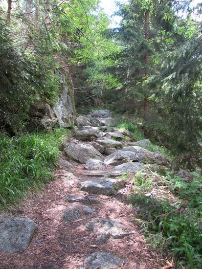 Nicht nur das Wasser muss sich den Weg zwischen den Felsen suchen, auch wir sind jetzt gefordert.