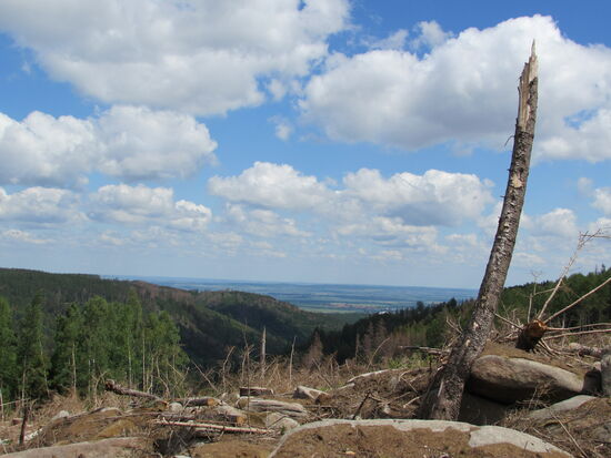 Nach wenigen Wanderminuten kommen wir auf eine kahlgeschlagene Anhöhe mit guter Fernsicht.