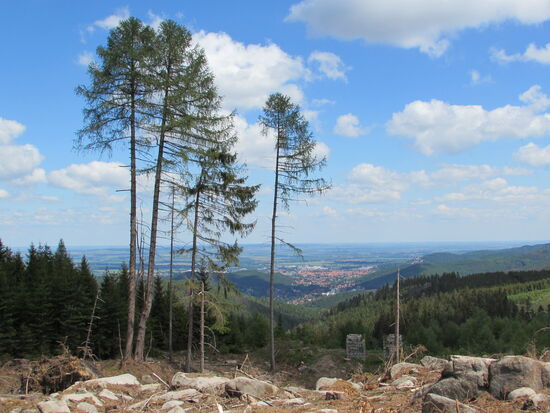 Aussicht auf Wernigerode