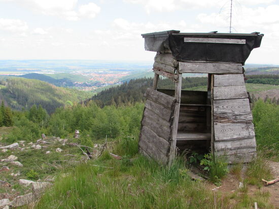 Der ideale Platz für ein Picknick.