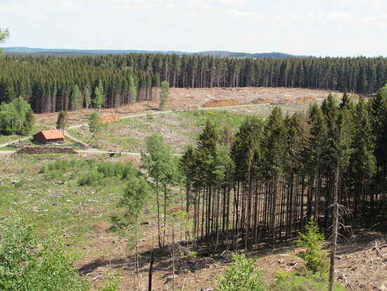 In der Ferne ist unsere weitere Wanderroute schon zu sehen.