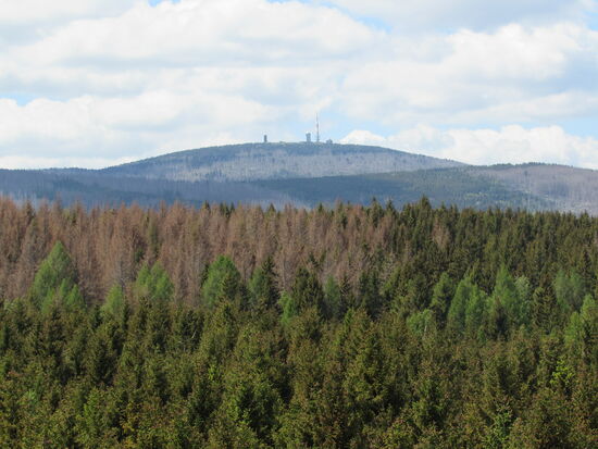 Von oben haben wir eine gute Sicht auf den Brocken.