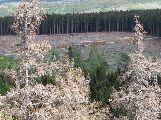 Da unten geht es gleich weiter.