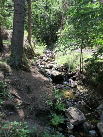 Wieder das geplätscher eines Bachlaufs  