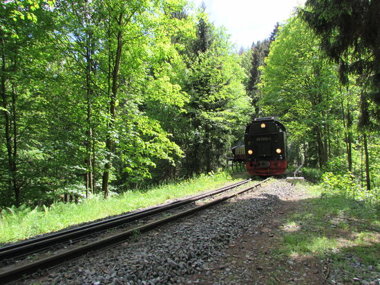 Wir haben Glück, gerade sind wir am Gedenkstein angekommen, hören wir das  Getöse der historischen Lokomotive 