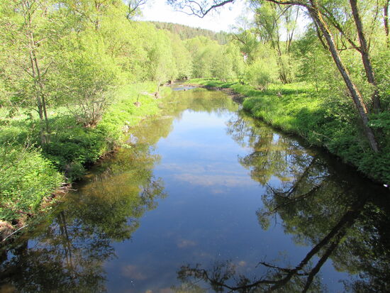 Noch ehe die Wanderung richtig beginnt, eröffnet sich der Blick auf die kalte Bode.