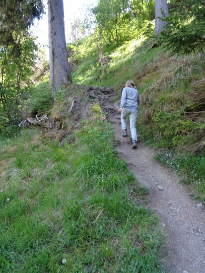 Ein schmaler Pfad führt steil bergauf. Es ist aber nur ein kleines Stück und war daher gut zu schaffen.