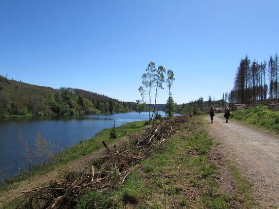 Auf einem breiten Schotterweg geht es entlang der Bode bis zur Staumauer.