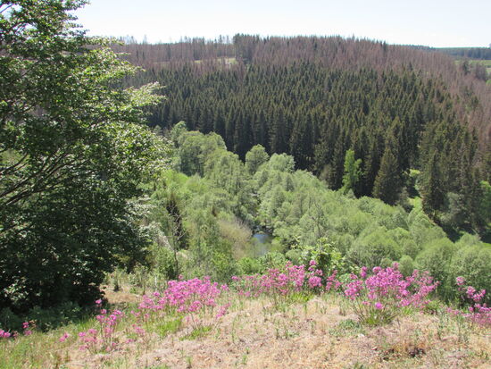 Bei den Burgresten angekommen, hat man eine gute Sicht auf die Umgebung.