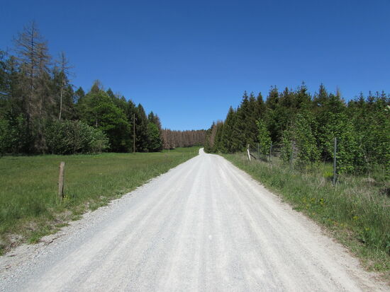 Hier geht es nun weiter.