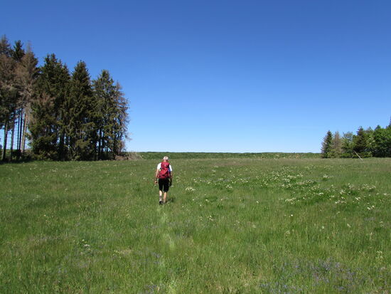 Dann erweckt ein aufgeschütteter Damm unsere Neugier