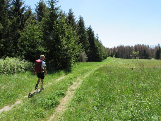 Nach der kurzen, tierischen Begegnung marschieren wir weiter.