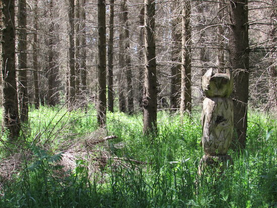 Wer hat hier wohl die Eule hinterlassen?