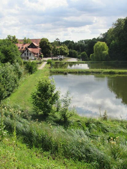 Zu dem Kloster gehören auch die Fischteiche. Sie waren einst ein Bestandteil um die Versorgung der Kloster Bewohner sicherzustellen.
