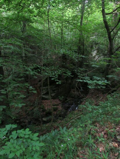 Der Goldbach, der unseren Weg mit Geplätscher  begleitet zeigt sich nur selten.