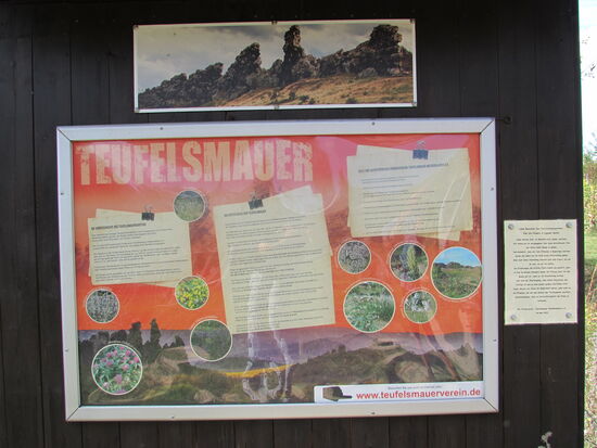 Auf halber Höhe noch mehr Infos. Diesesmal zur besonderen Vegetation hier im Bereich der Felsformation.