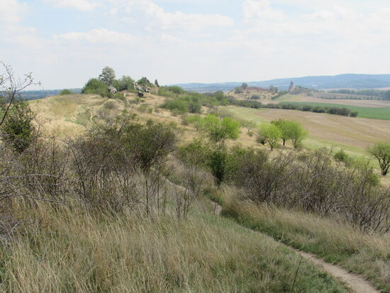 Noch ein Blick auf den bereits zurück gelegten Weg, der inzwischen ein gut zu begehender Trampelpfad ist.