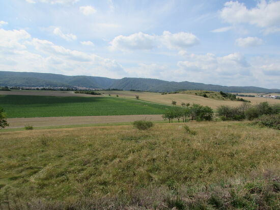 Da unten sehen wir bereits die kleine Landstraße, auf der wir unsere Wanderung Richtung Thale fortsetzen werden.