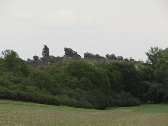 Nach einigen Gehminuten bergauf sind wir auf einem Feldweg angekommen. Es dauert nicht allzu lang und wir sehen schon wieder die Teufelsmauer.