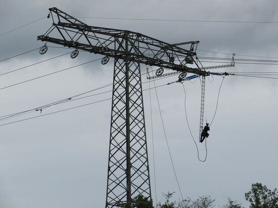 Beobachtung am Rande des Weges