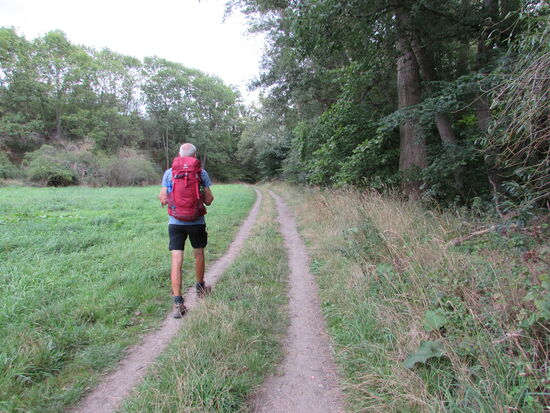 Auf einem Feldweg geht es ohne Steigungen entlang der Bode weiter. Doch meistens können wir das Wasser nur hören, nur ab und zu zeigt sich der Fluss.