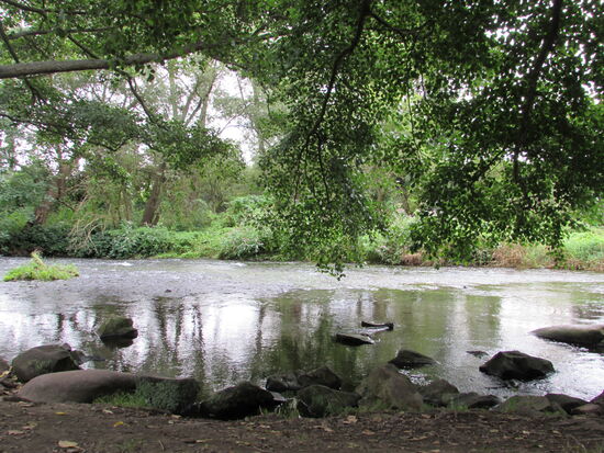 Dann ein idylisches Plätzchen an der Bode.
