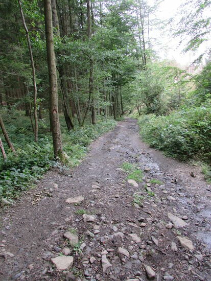 Wir wandern Richtung Wanderparkplatz.