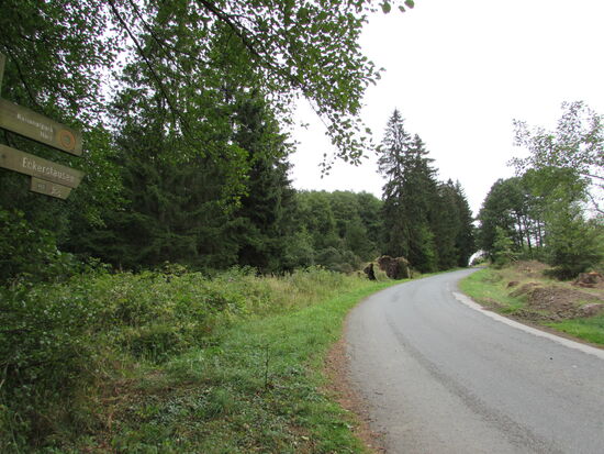 Nach ca. 2km kommen wir auf diesen Forstweg.