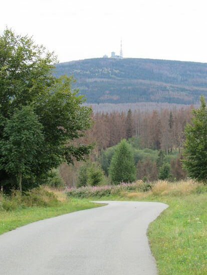 Wenig später ein Blick auf den Brocken.