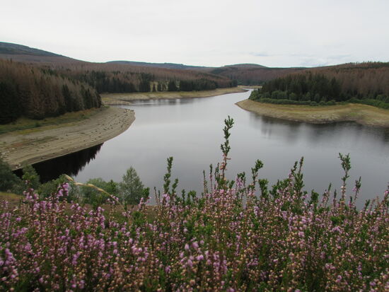 Wieder eine wundervolle Aussicht