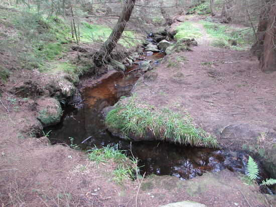 Wir werden von einem kleinen Bachlauf begleitet.
