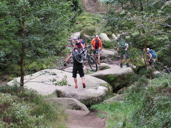 Hier sind wir nicht allein. Doch irgendwie verläuft es sich dann auch schnell wieder und wir können die Natur und die Ruhe für uns genießen.