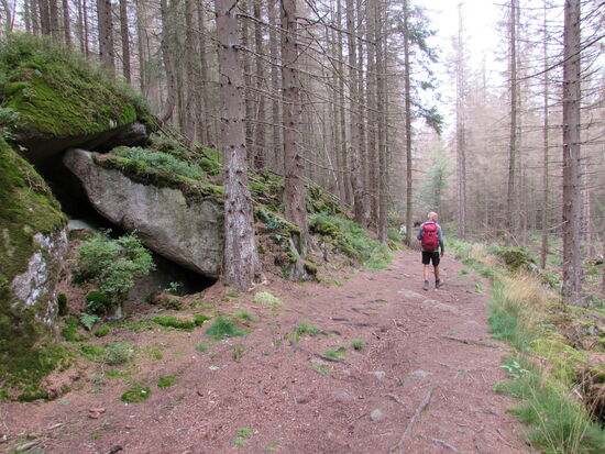 Große Felsen einerseits und die Ecker andererseits begleiten nun unsere Schritte auf dem mit Wurzlen zerfurchten Weg.