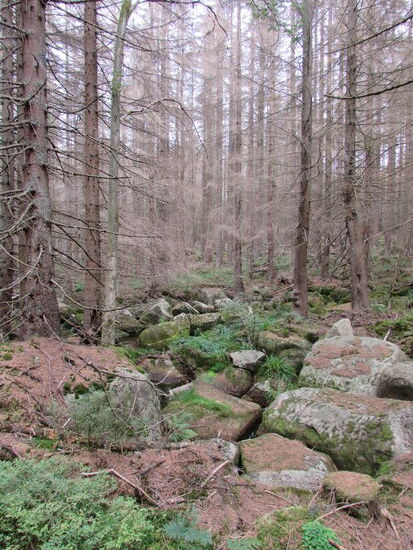 Auf uns wirkt es irgendwie mystisch und gespenstisch zugleich.