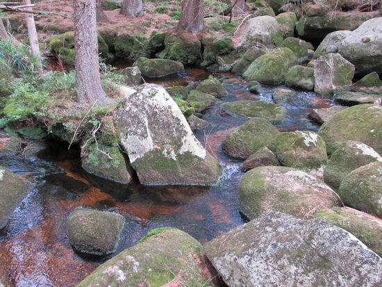 Die Ecker zieht immer wieder unseren Blick an.