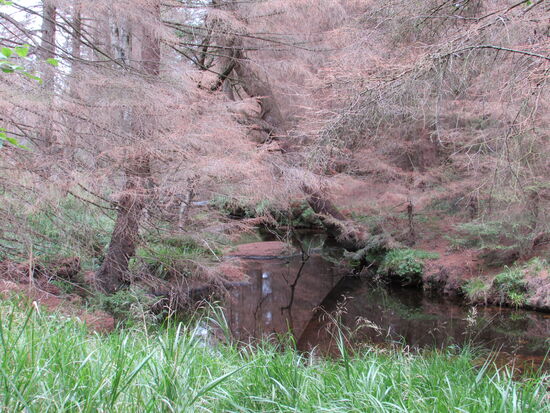 Von diesem Abschnitt der Wanderung sind wir auf eine spezielle Art und Weise fasziniert.