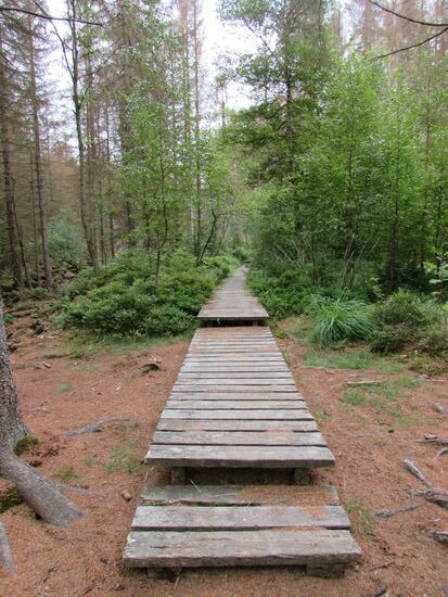 Hier endet der Holzweg