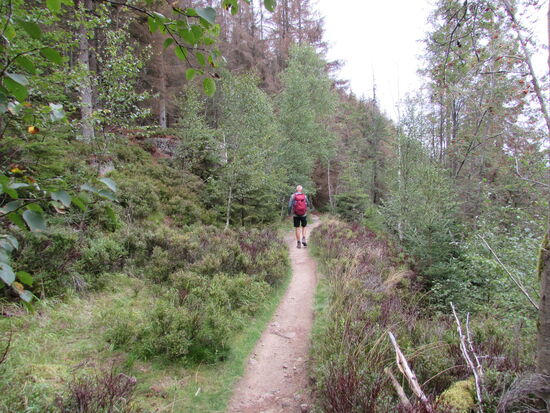Wir sind wieder auf unserem Rundwanderweg und es sieht auch wieder grüner aus 