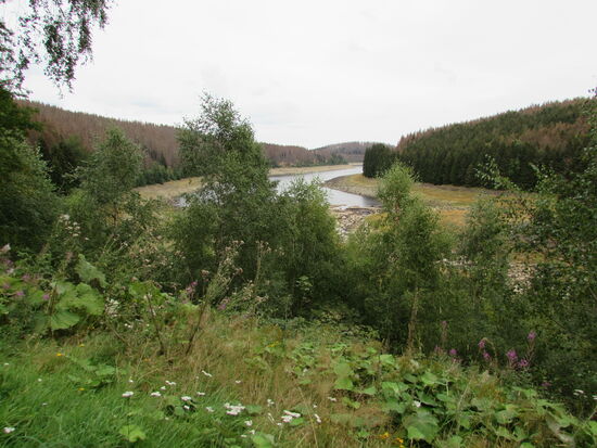 Schließlich sehen wir den Bereich in dem die Ecker in die Talspere mündet.