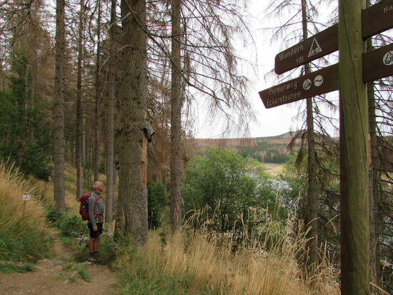 Wir folgen dem Pionierweg entlang der Eckertalsperre.