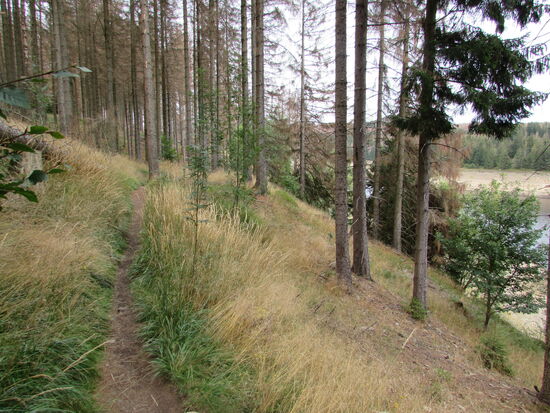 Auf teils schmalen Trampelpfaden geht es Richtung Staumauer.