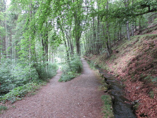 Fast am Augangspunkt zurück. 
Rechts, der Kanal speißt die Radau- Wasserfälle. Wir folgen dem linken Weg Richtung Ausgangspunkt.