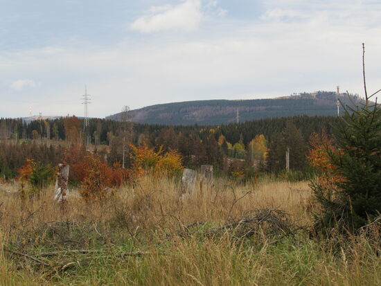 Linkerhand wird der Blick auf den Wurmberg und Brocken frei.