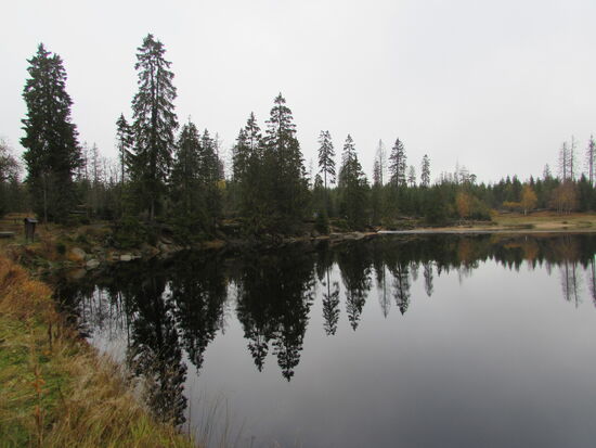 Tolle Spiegelungen am Oderteich.