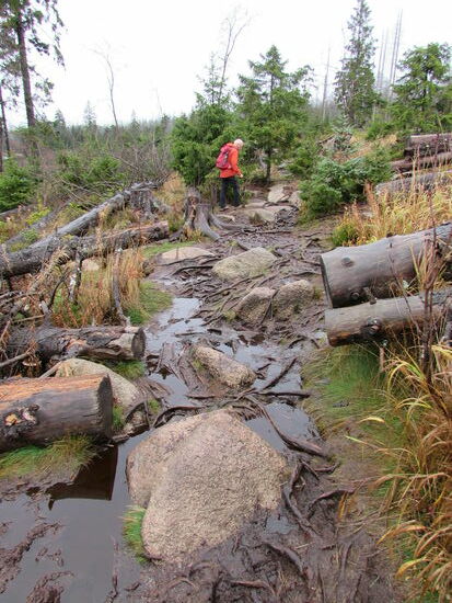 Wo setzte ich nur den nächsten Schritt?