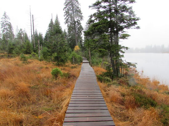 Der Weg wird komfortabel 