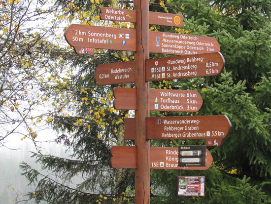 Nach ca. 5km haben wir den Oderteich umrundet. Wir queren die Straße und machen uns auf den Weg zum Rehberger Grabenhaus.