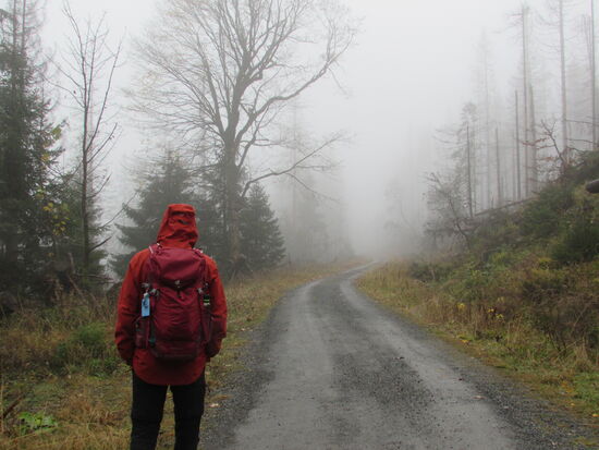 Leider zieht es sich mehr und mehr zu - ganz schön ungemütlich.